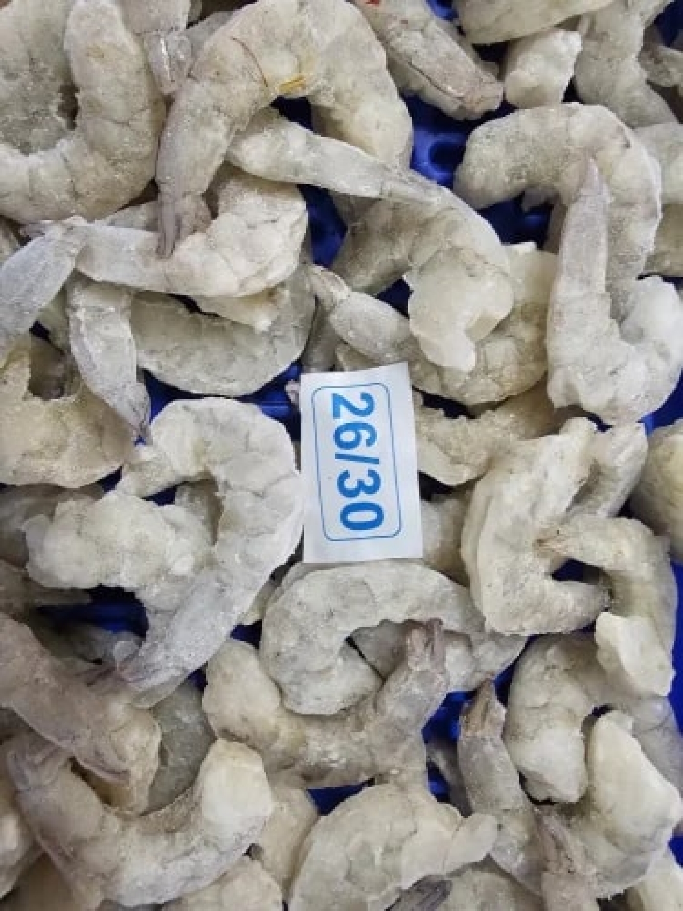 Frozen Vannamei PUD 26/30(T/ON) Prawns